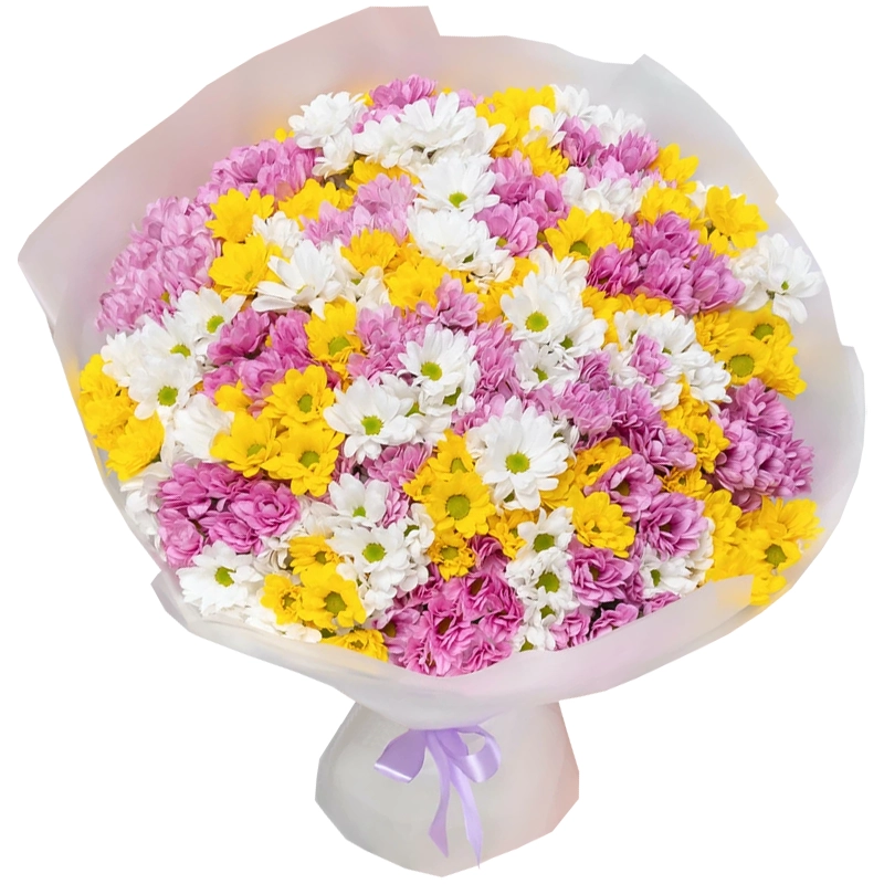 Букет из 51 разноцветной кустовой хризантемы